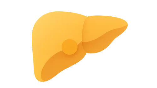 Ammonia Metabolism and Toxicity