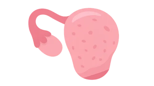 Primary Ovarian Insufficiency