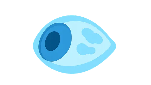Scleral Degenerations