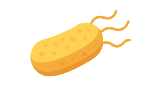 Legionella pneumophila