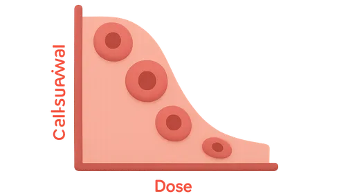 Cell Survival Curves