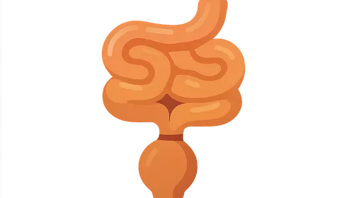 Small bowel obstruction