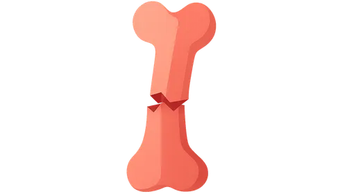 Orthopedic trauma priorities