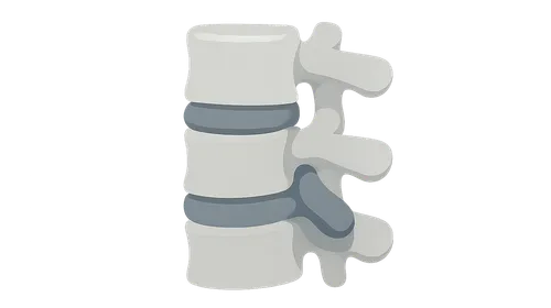 Intervertebral Disc Disease