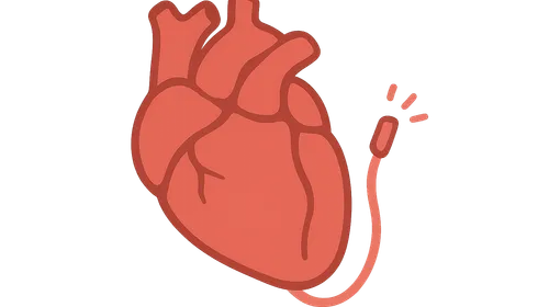 Catheter ablation procedures
