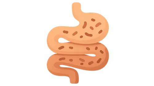 Small intestinal bacterial overgrowth