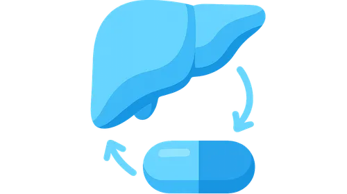 Drug Metabolism and Excretion