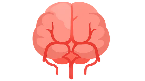 Posterior cerebral artery territory