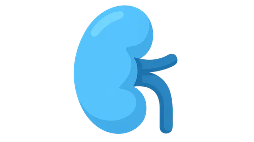 Acid-Base and Electrolyte Disturbances