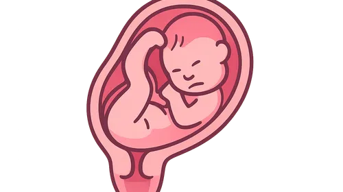 Malpresentations (breech, face, brow)