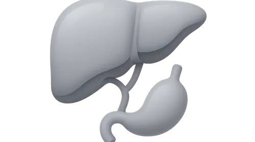 Pharmacokinetics: Metabolism and Excretion