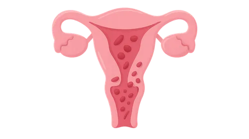 Urogenital microbiome