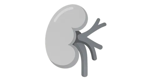 Anatomical variations and clinical significance