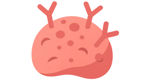 Hypersensitivity Reactions