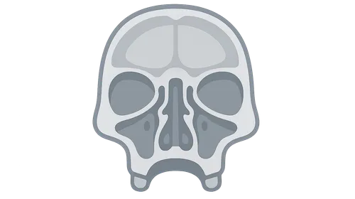 Anatomy of the Skull Base