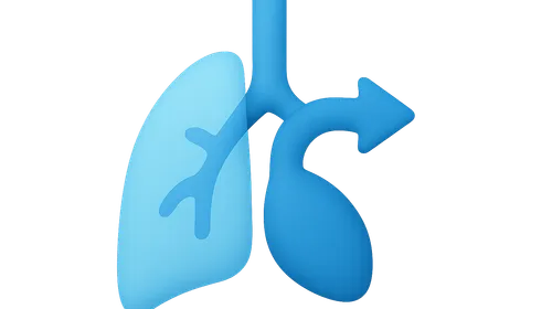 Shunt physiology (low V/Q)