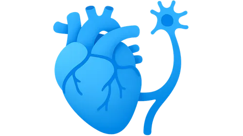 Neural control of cardiovascular function