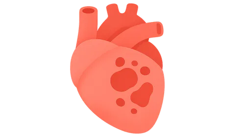 Acute phase management