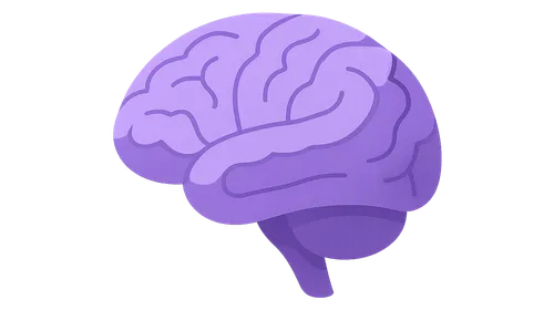 Cerebral Hemispheres