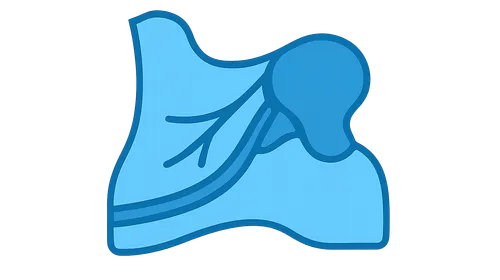 Anatomical Considerations in Regional Anesthesia