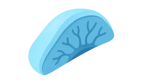 Corneal Anatomy and Physiology