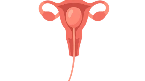 Balloon tamponade techniques