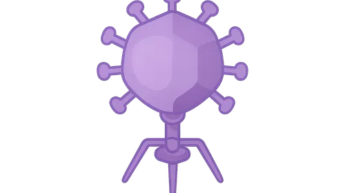 Viral structure and classification