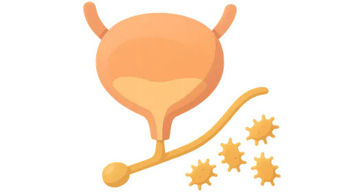 Catheter-associated urinary tract infections