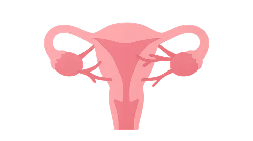 Adhesion-Related Pain