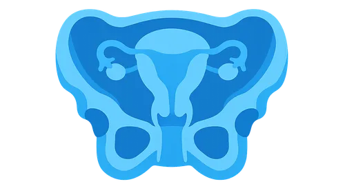 Pelvic cross-sections