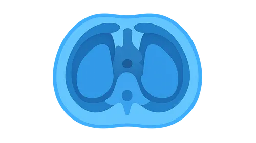 Thoracic cross-sections