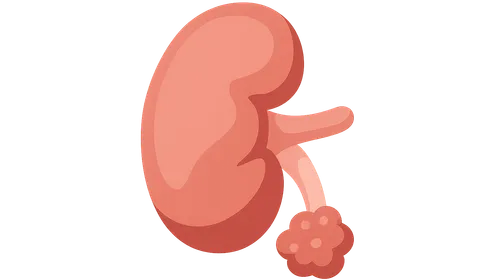 Nephrectomy indications