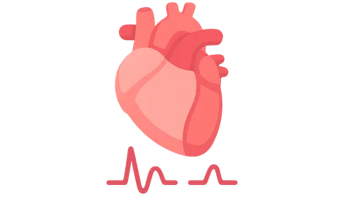 Heart sounds and their origin