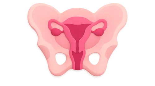 Female Pelvic Imaging