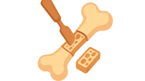 Autografts: Harvesting and Applications