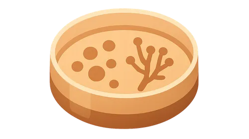 Diagnostic approaches for dimorphic fungi