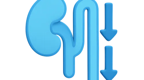 Sodium and potassium handling in RAAS