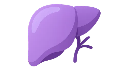 Antimetabolites (azathioprine, mycophenolate)