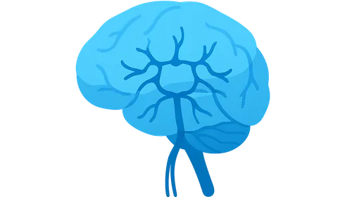 Venous drainage of brain