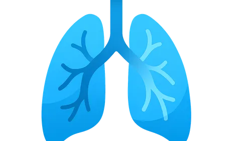 Pulmonary circulation hemodynamics