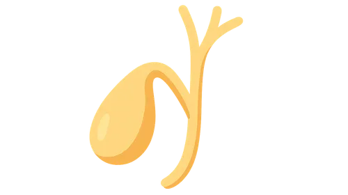 Biliary Tract Imaging