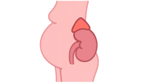 Adrenal Disorders in Pregnancy