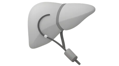 Interventional Radiological Anatomy