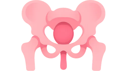 Applied Anatomy and Clinical Correlations