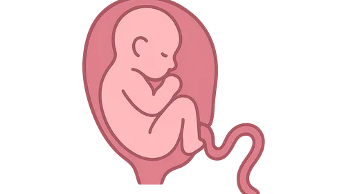 Umbilical cord prolapse