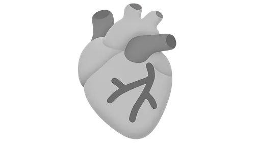 Non-Communicable Diseases