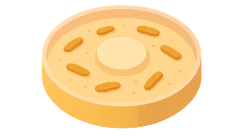 Antimicrobial susceptibility testing