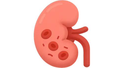 Hemolytic Uremic Syndrome