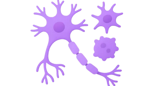 Neurons and Glial Cells