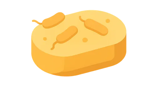 Foodborne Disease Outbreaks